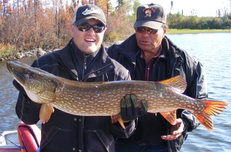 42 inch, little guy